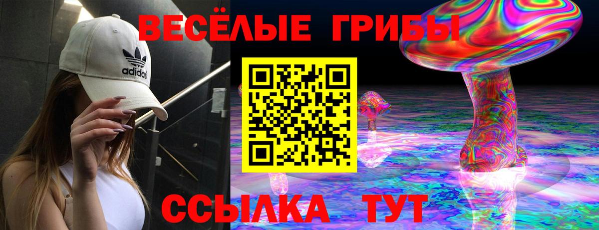 Псилоцибиновые грибы Cubensis Клин